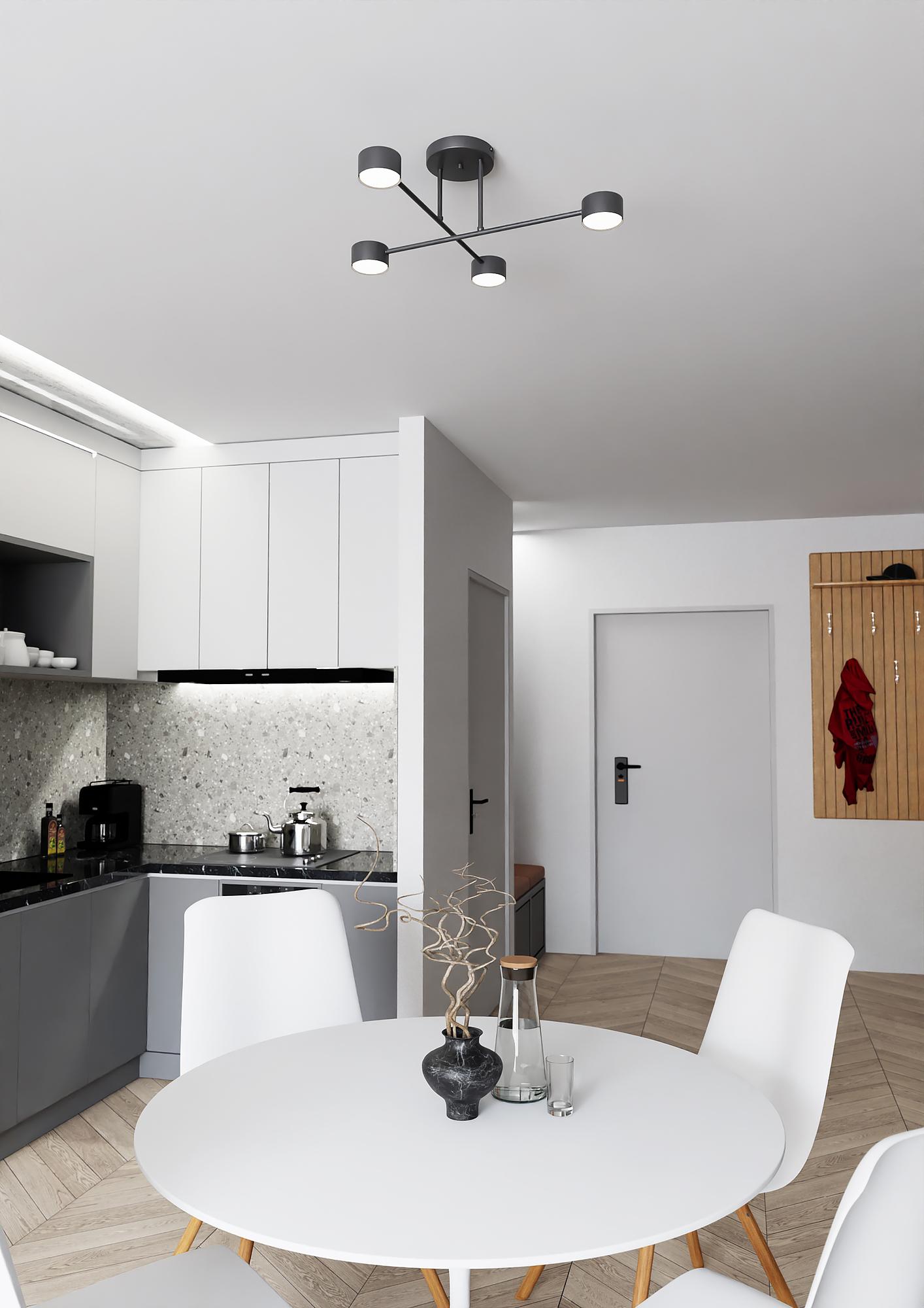 Halo Deckenleuchte 4-flammig Stahl Schwarz  3