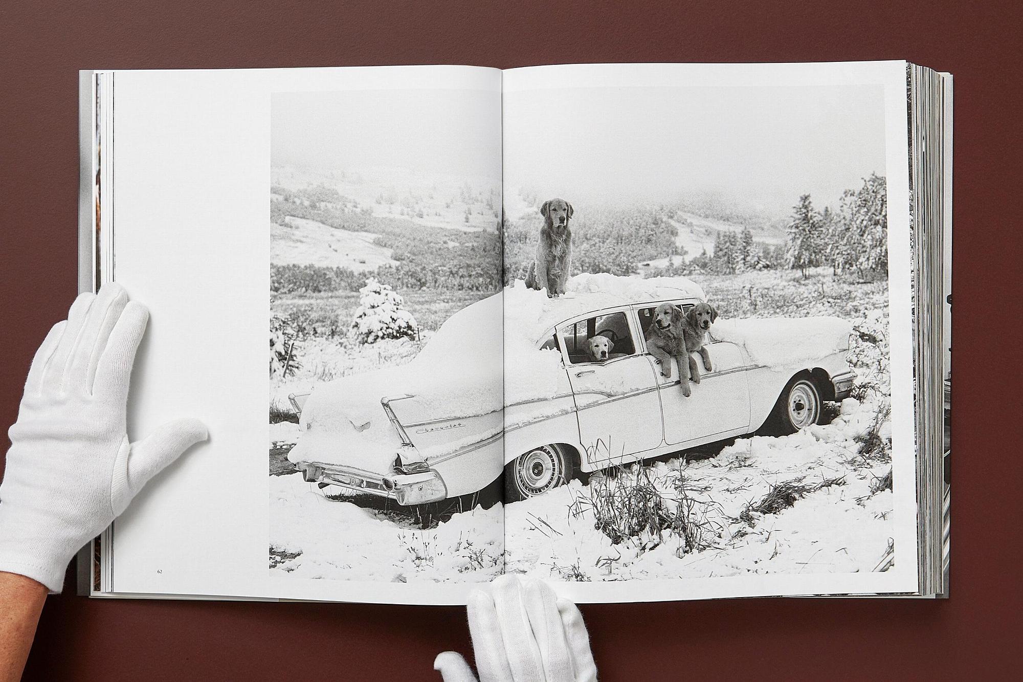 Bruce Weber. The Golden Retriever Photographic Society 9