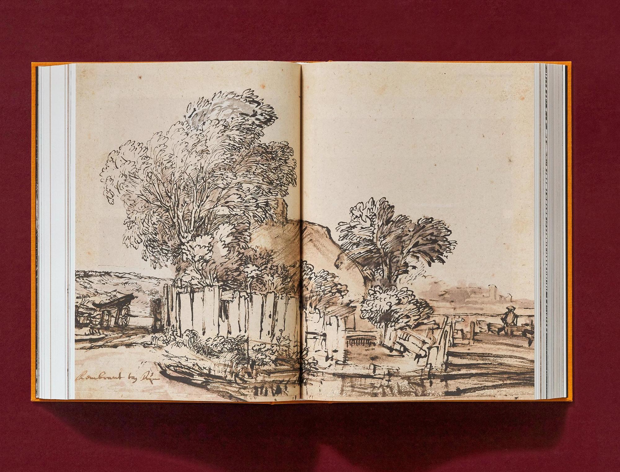 Rembrandt. The Complete Drawings and Etchings 9