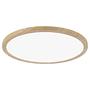 Atria Shine LED-Deckenleuchte Kunststoff 29cm 0
