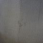 Aya Sofa 3,5-Sitzer Free Dune 7