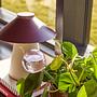 Chipper Table Lamp Sand Burgundy 2