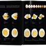 Modernist Cuisine. Die Revolution der Kochkunst 2