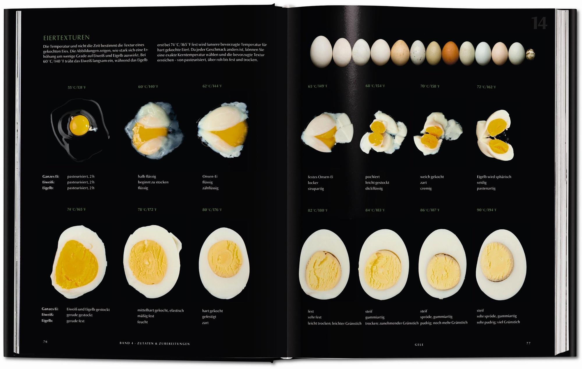 Modernist Cuisine. Die Revolution der Kochkunst 2