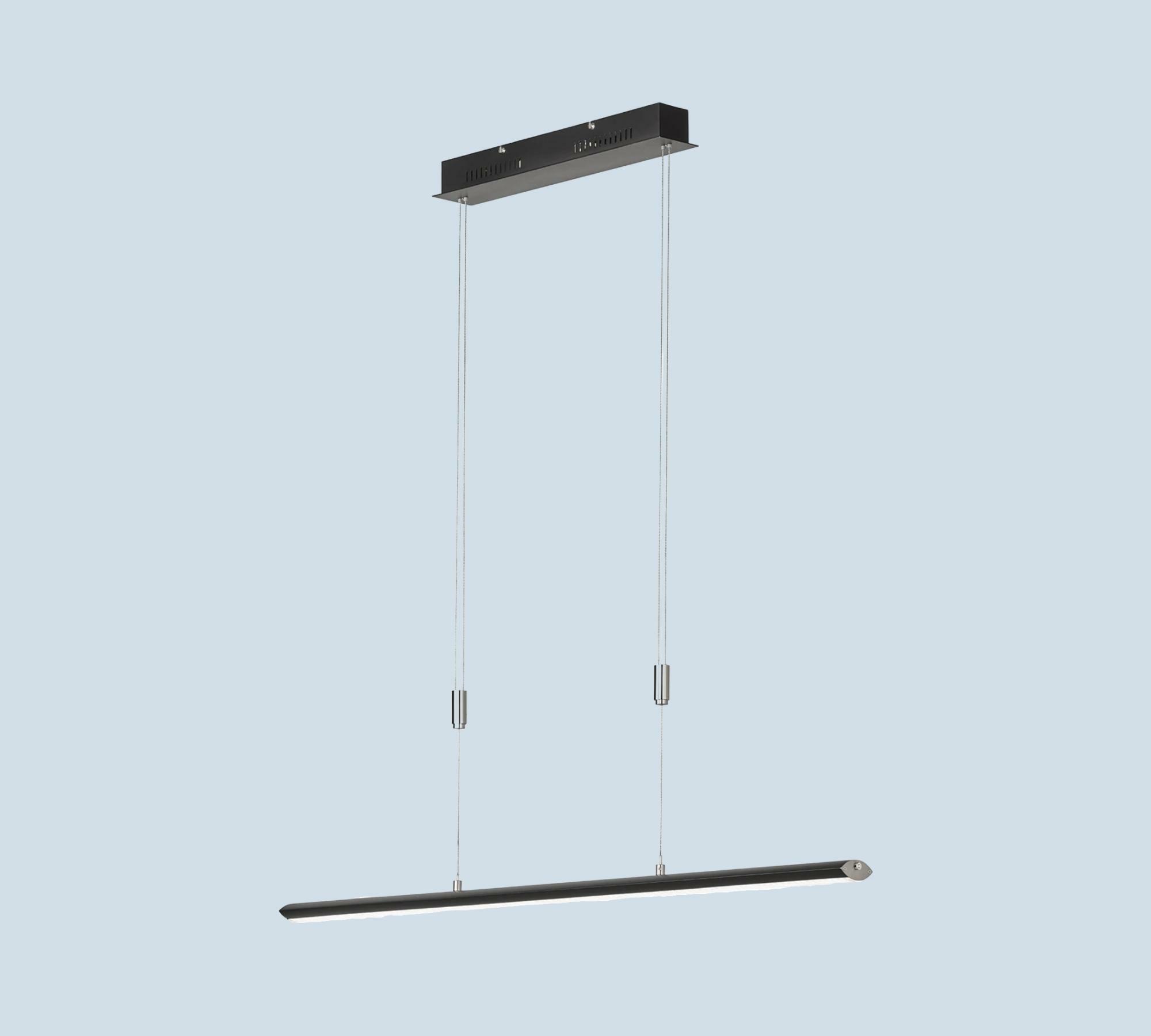 LED-Pendelleuchte Metall Schwarz 1