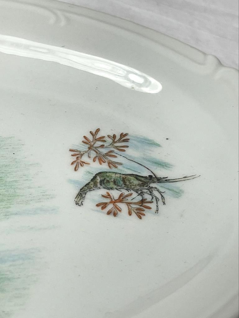 Fish Platter Porcelain Multicolored 4