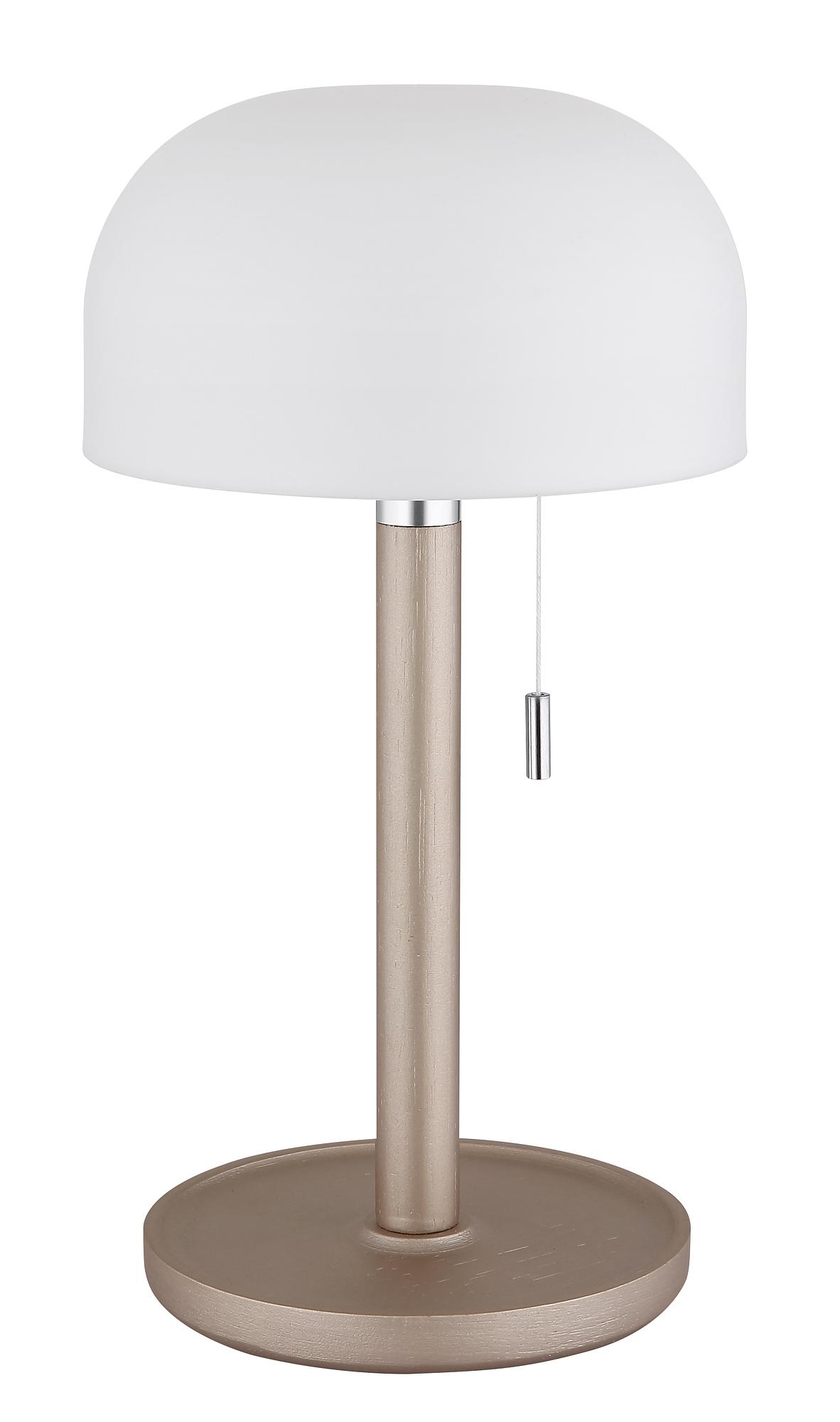 Norman LED-Tischleuchte Acrylglas Bambus 1-flammig 2