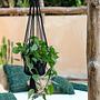 Macrame Plant Hanger Black 3