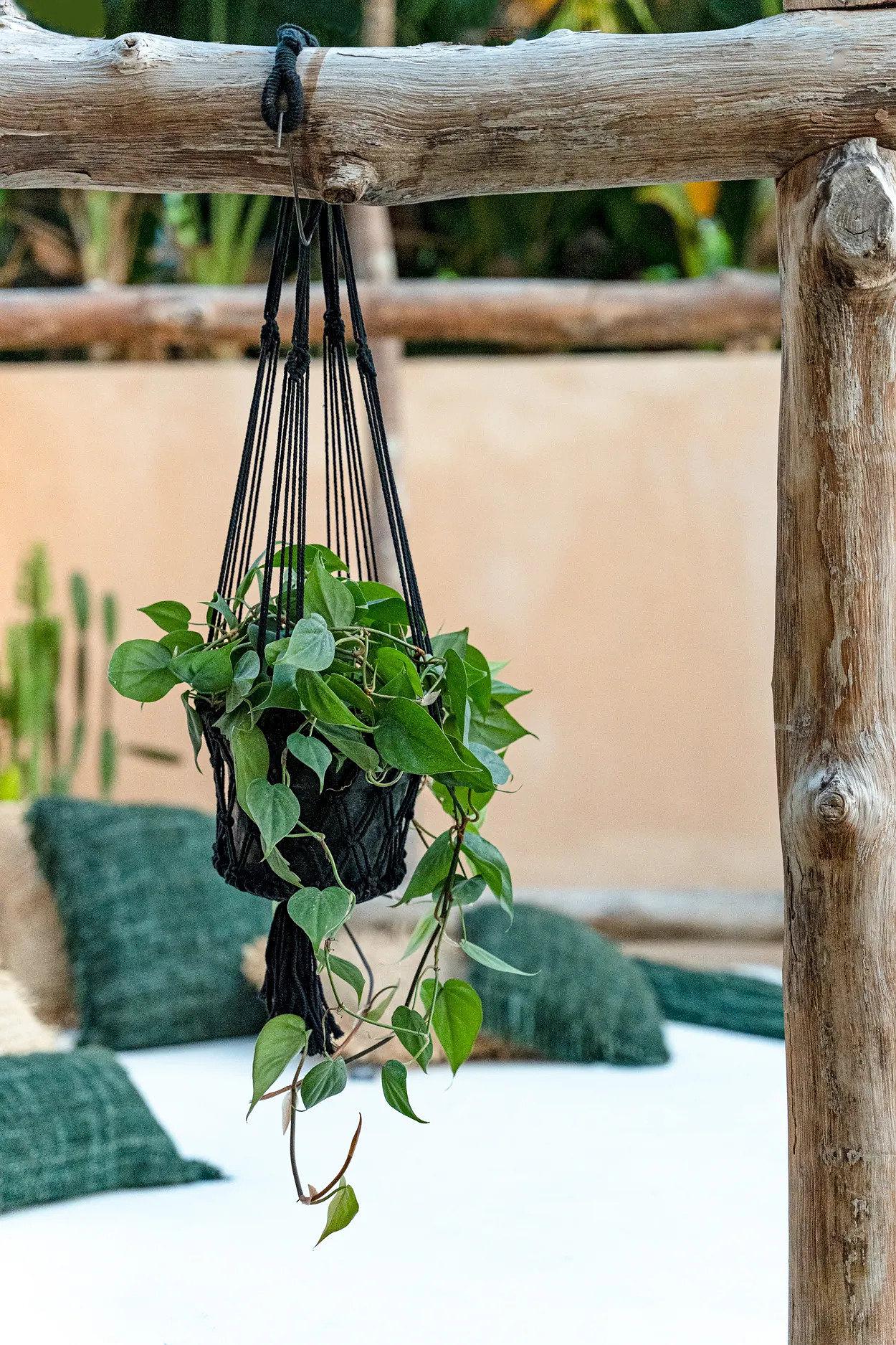 Macrame Plant Hanger Black 3