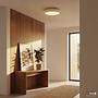 TENEO Ceiling Light 1-Light Iron White 2
