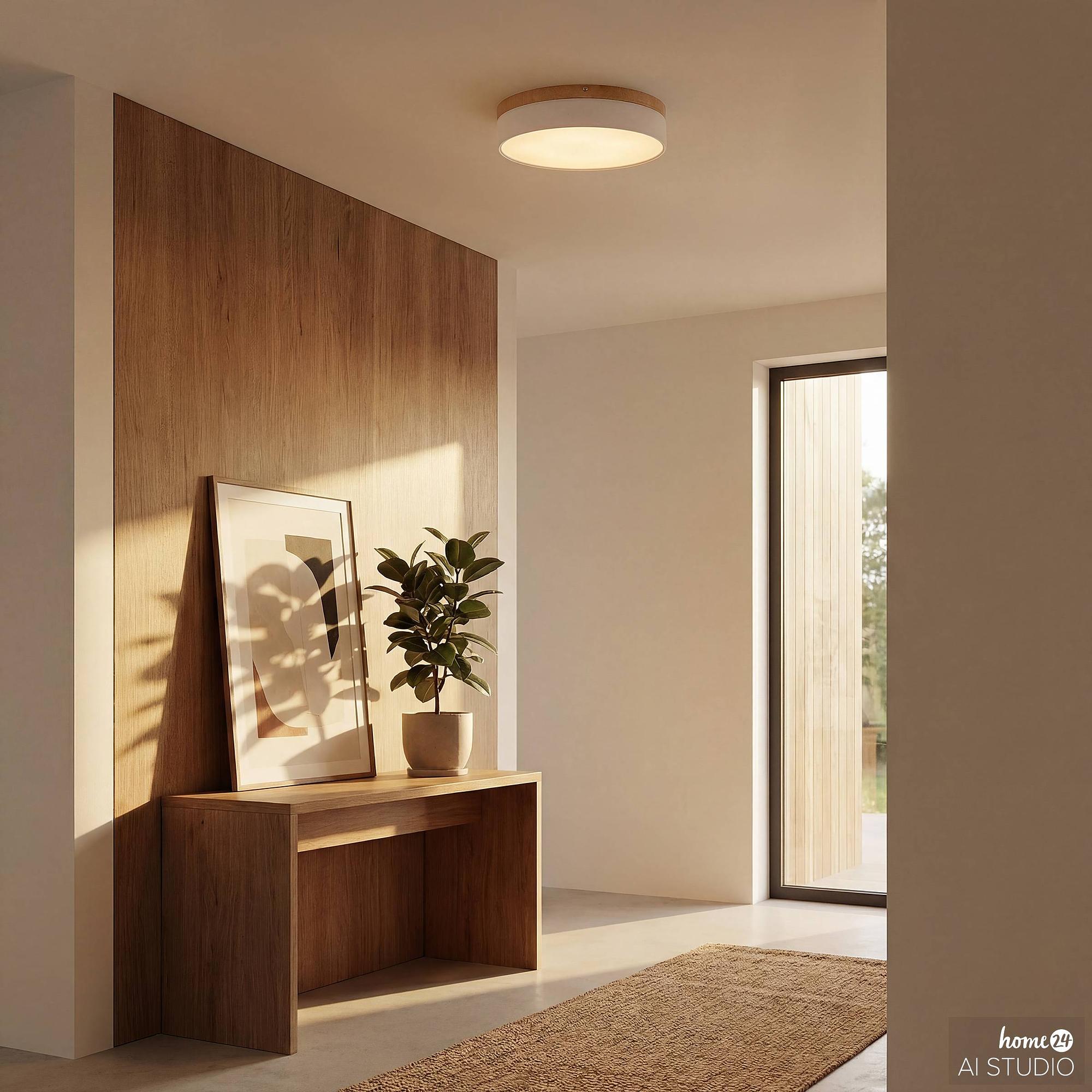 TENEO Ceiling Light 1-Light Iron White 2