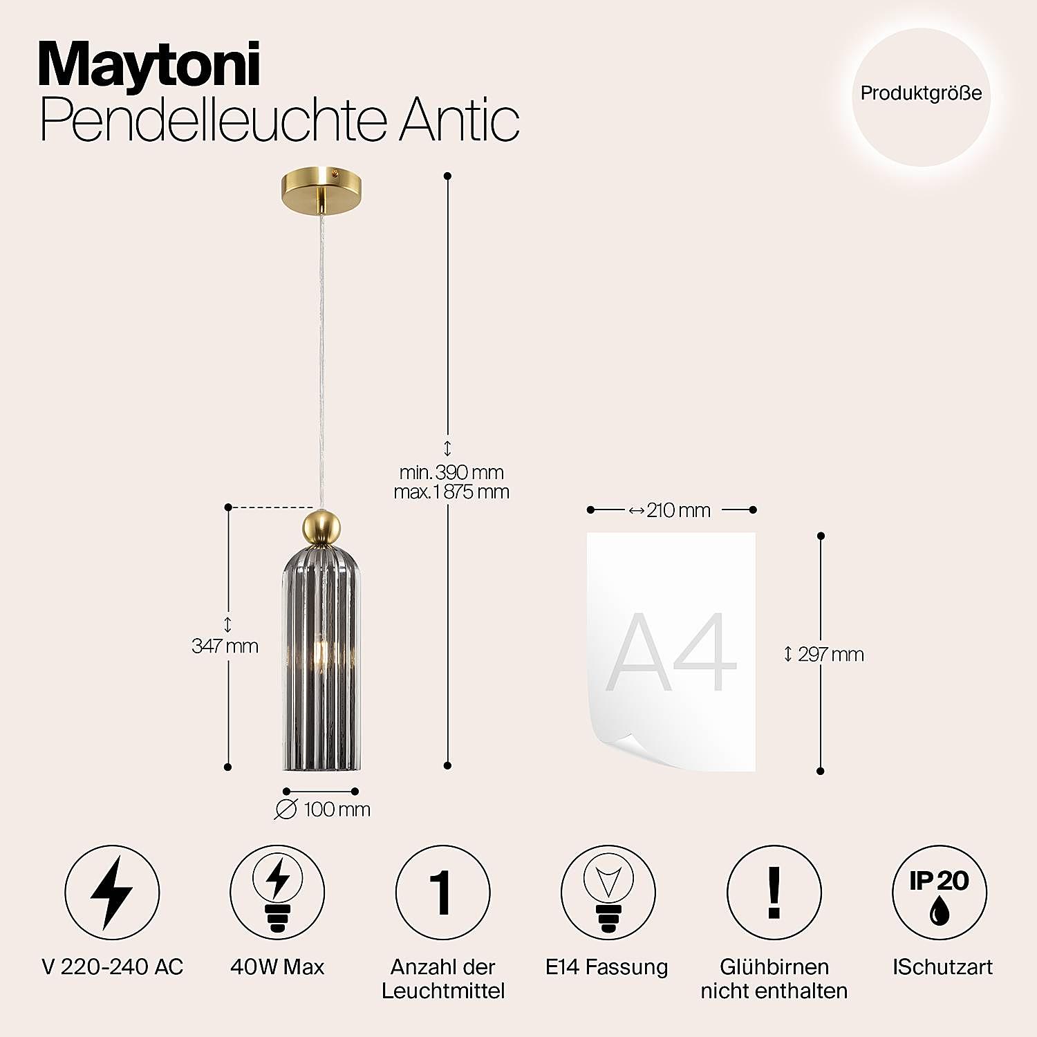 Antic Pendelleuchte Rauchglas Metall 1-flammig 3