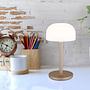 Norman LED table lamp Acrylic glass Bamboo 1-flame 1