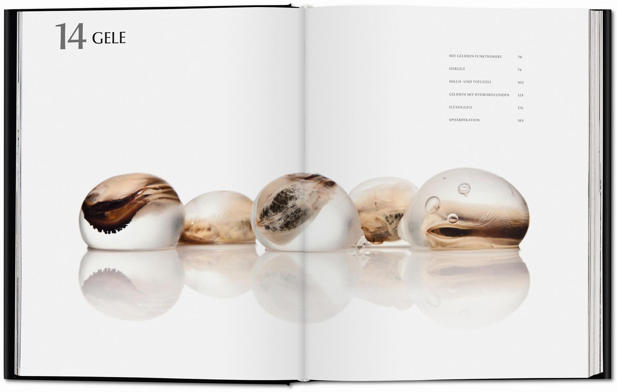 Modernist Cuisine. Die Revolution der Kochkunst 1