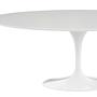 Knoll International Esstisch Oval Weiß 1