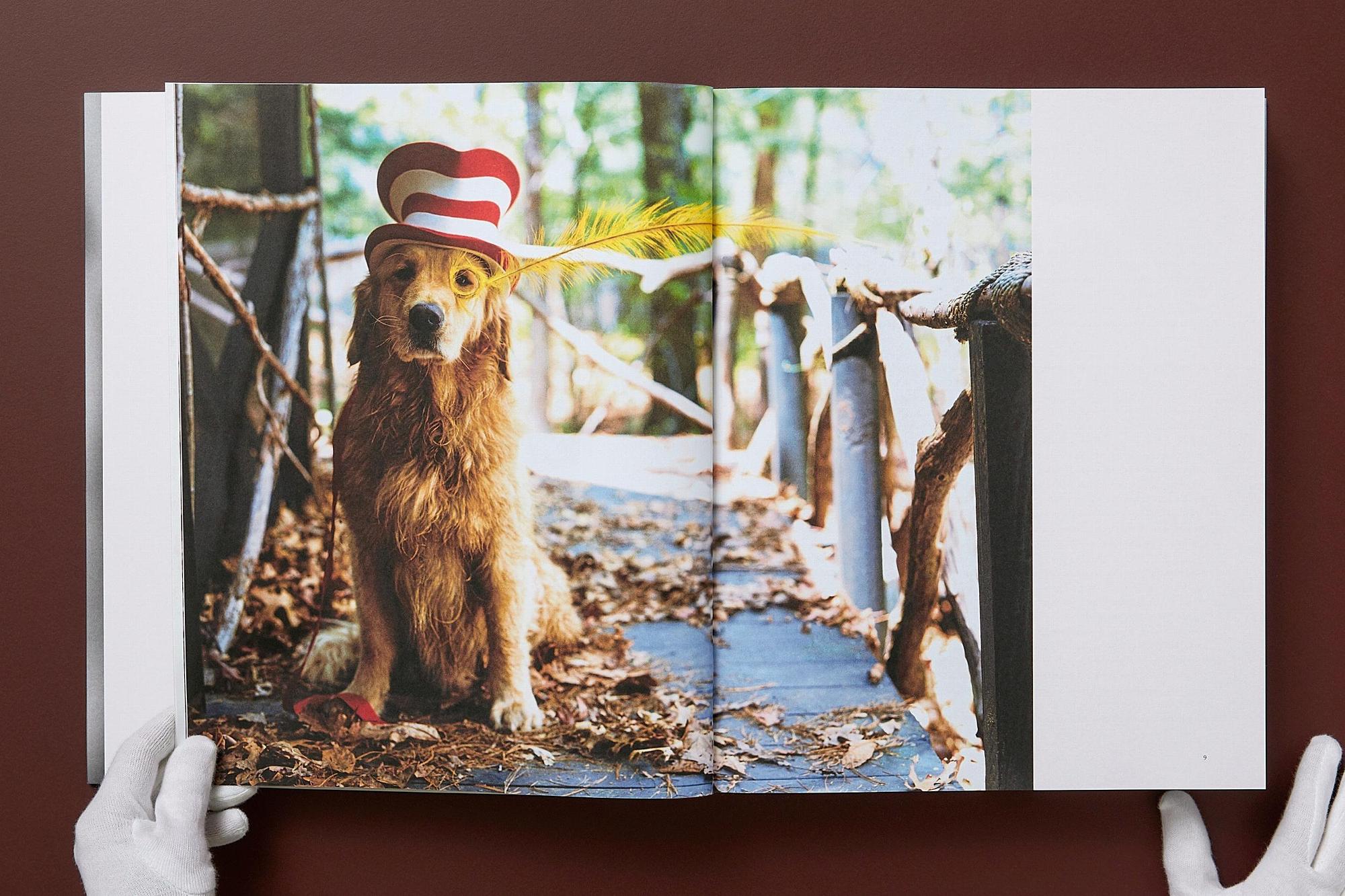 Bruce Weber. The Golden Retriever Photographic Society 6
