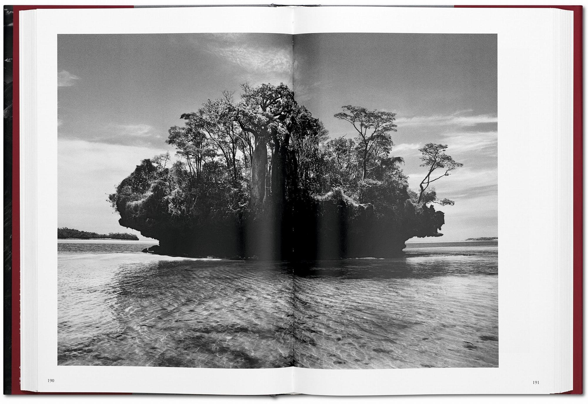 Sebastião Salgado. Genesis 6