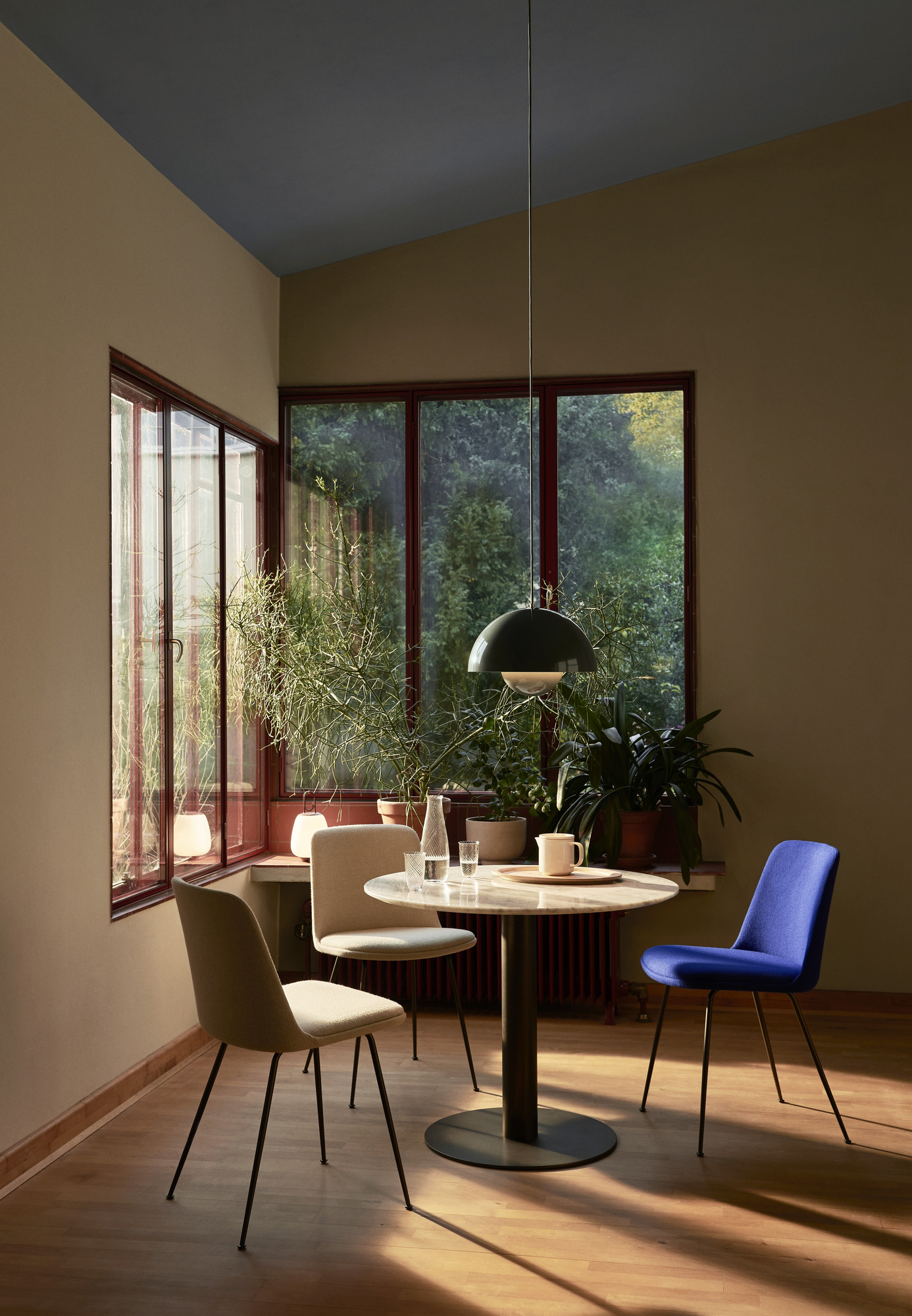 Collect Tablett Sc64 Braun 6