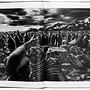 Sebastião Salgado. Genesis 4