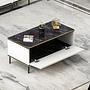 Imaj Coffee Table Wood Veneer White 2