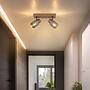 Ceiling lamp Satella Type F smoked glass / iron 2