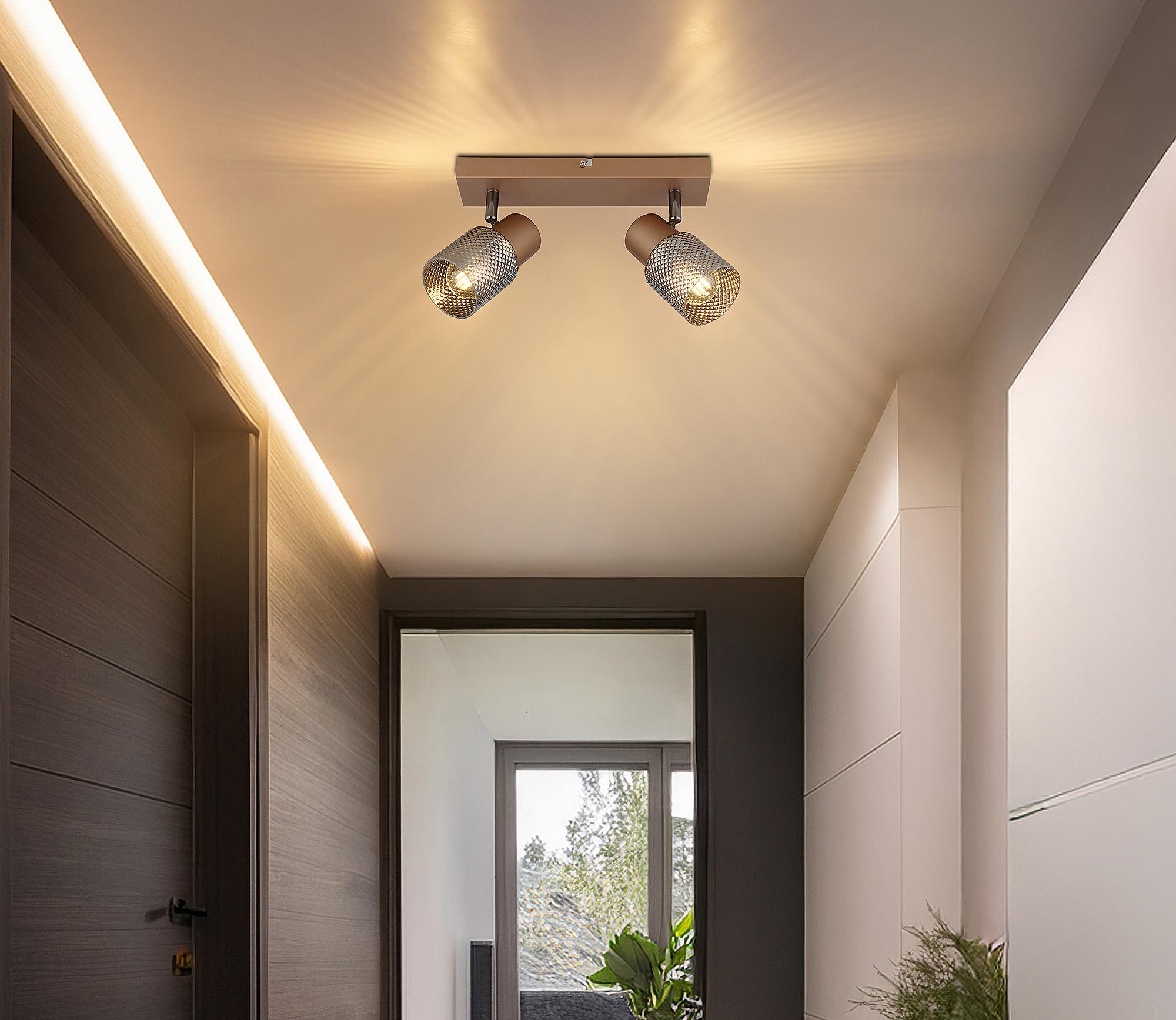 Ceiling lamp Satella Type F smoked glass / iron 2