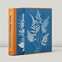 Anna Atkins. Cyanotypes (FFE) 2