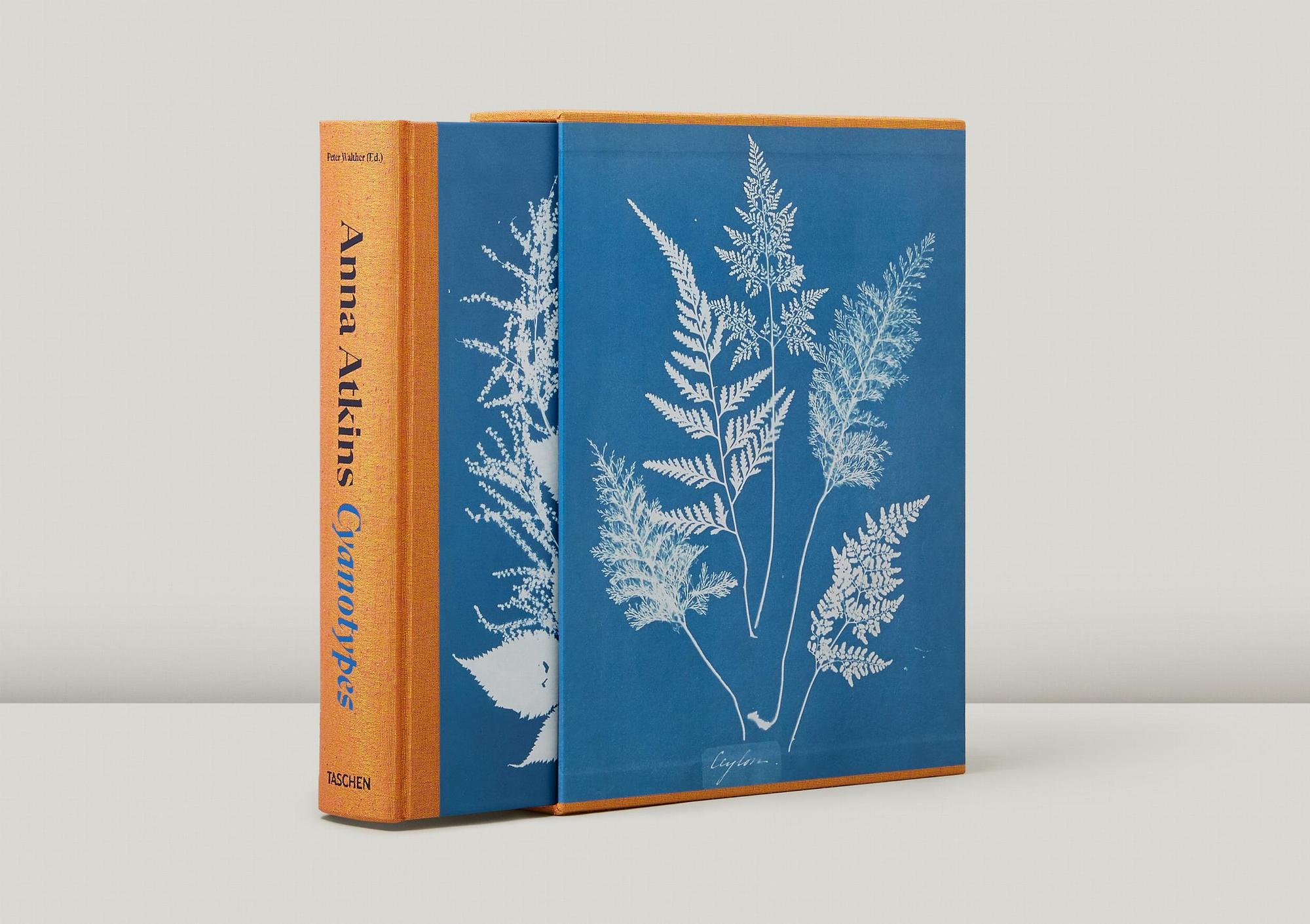 Anna Atkins. Cyanotypes (FFE) 2