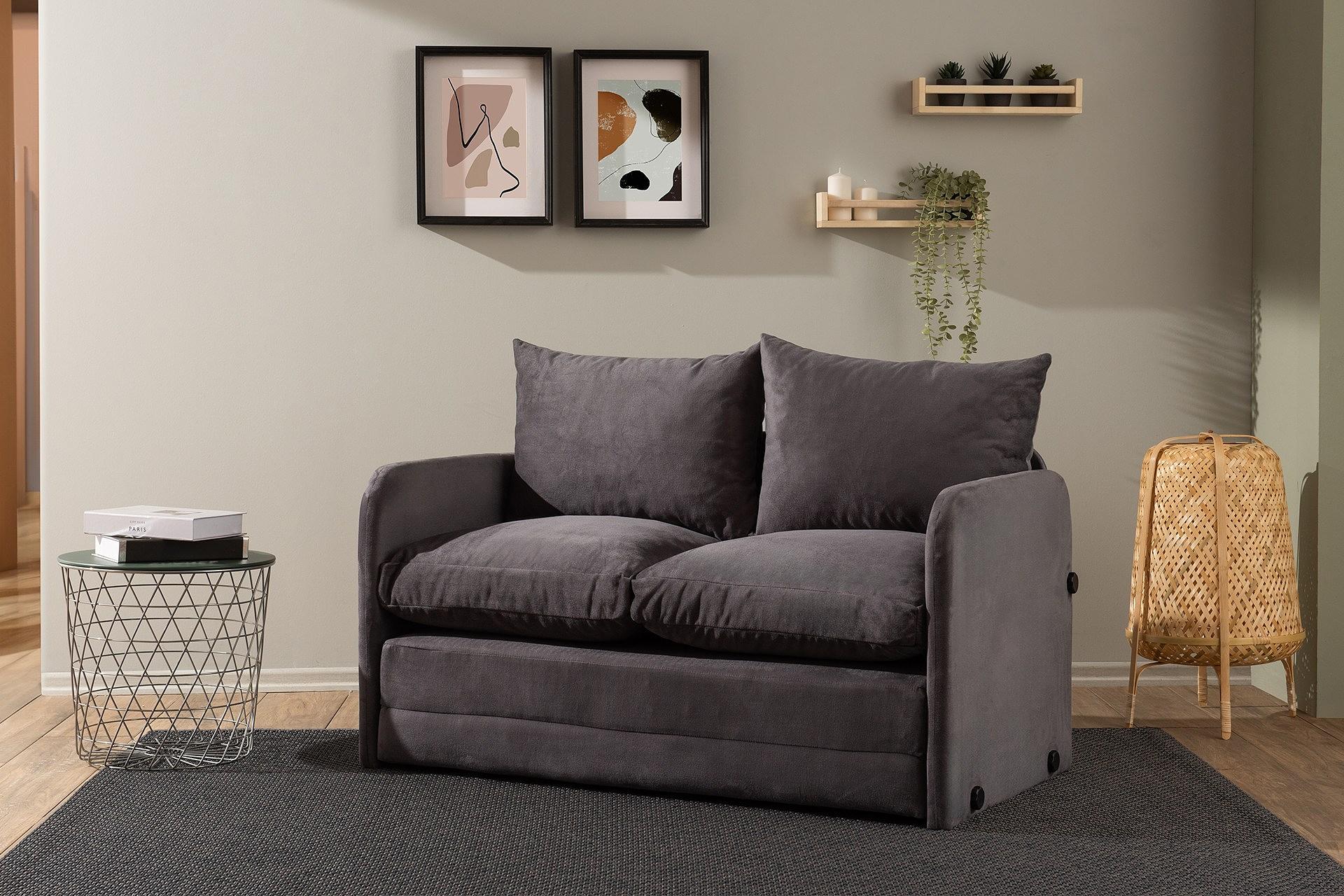 Saga Schlafsofa 2-Sitzer Grau 3