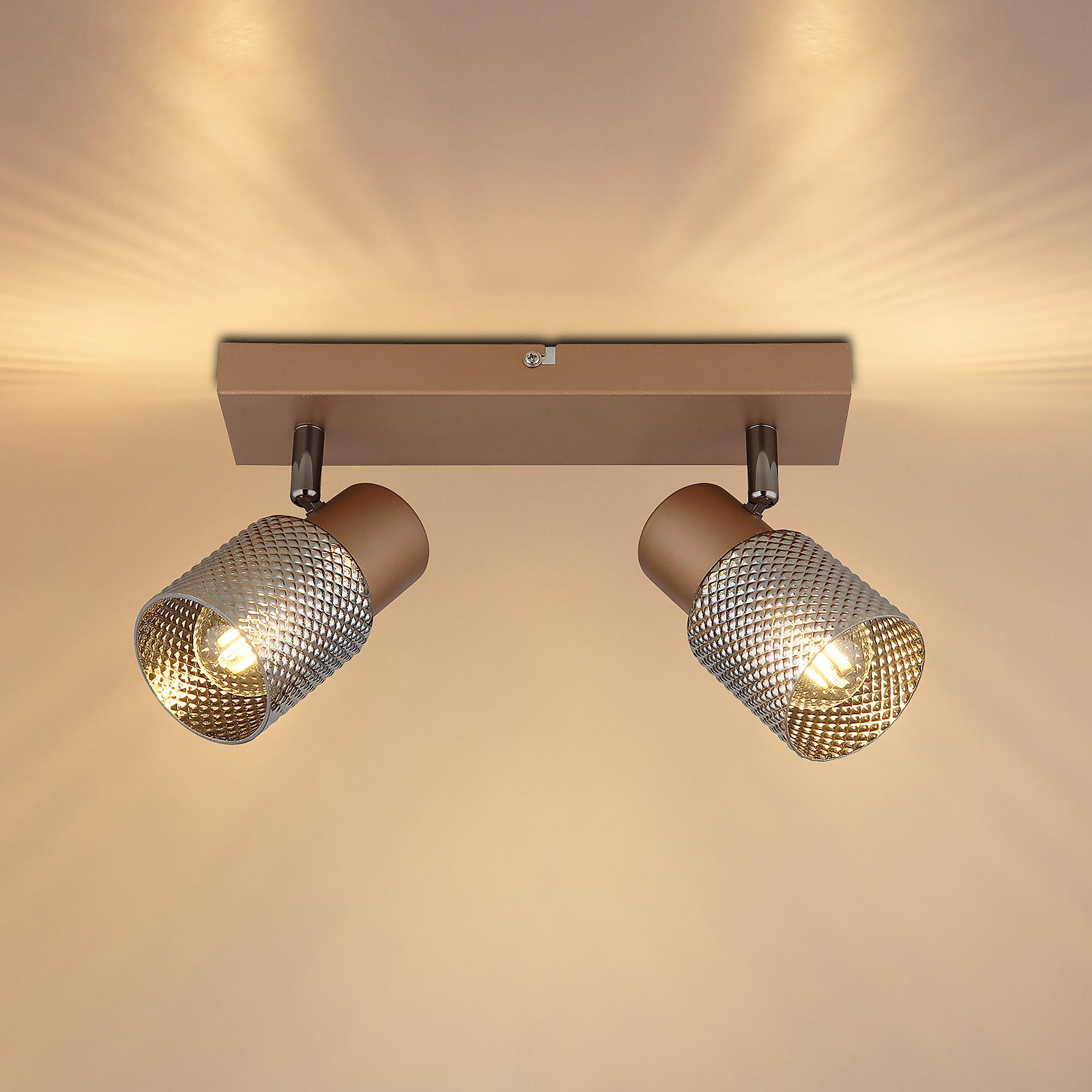 Ceiling lamp Satella Type F smoked glass / iron 1