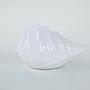 Ceramic shell White 1970s 5