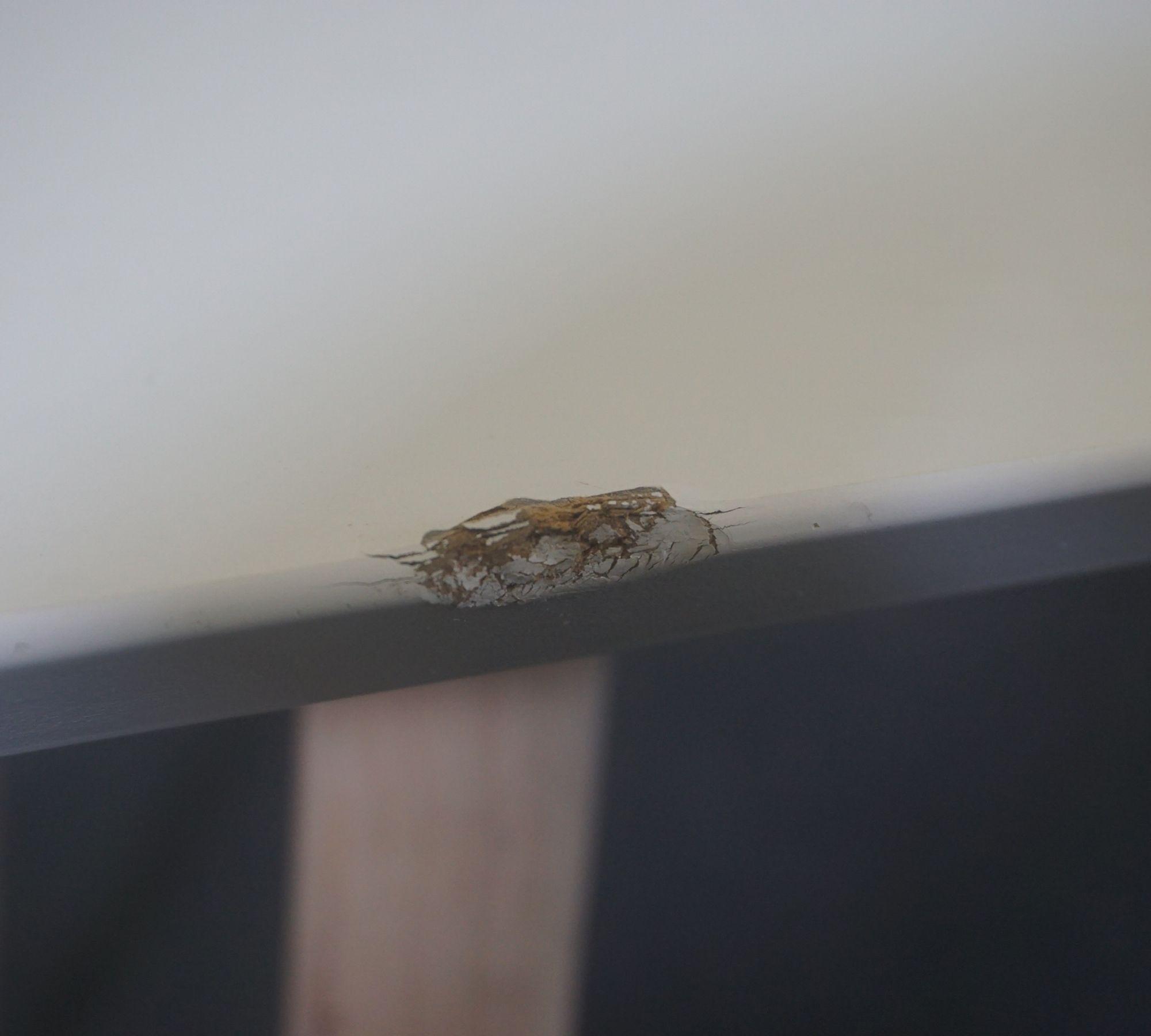 Allie Dining Table Soap Oak White 150 x 90 cm 7