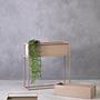 Ascher Wand-Pflanzenkasten Grau Natur
 6