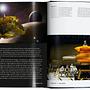Das NASA Archiv. 40th Ed. 6