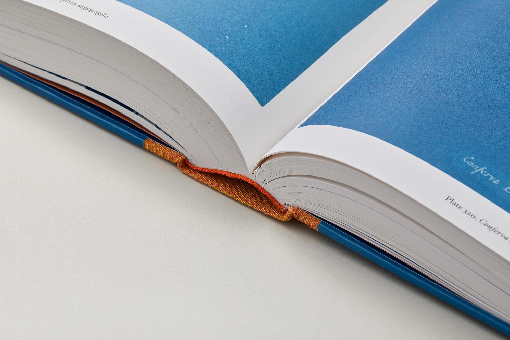 Anna Atkins. Cyanotypes (FFE) 7