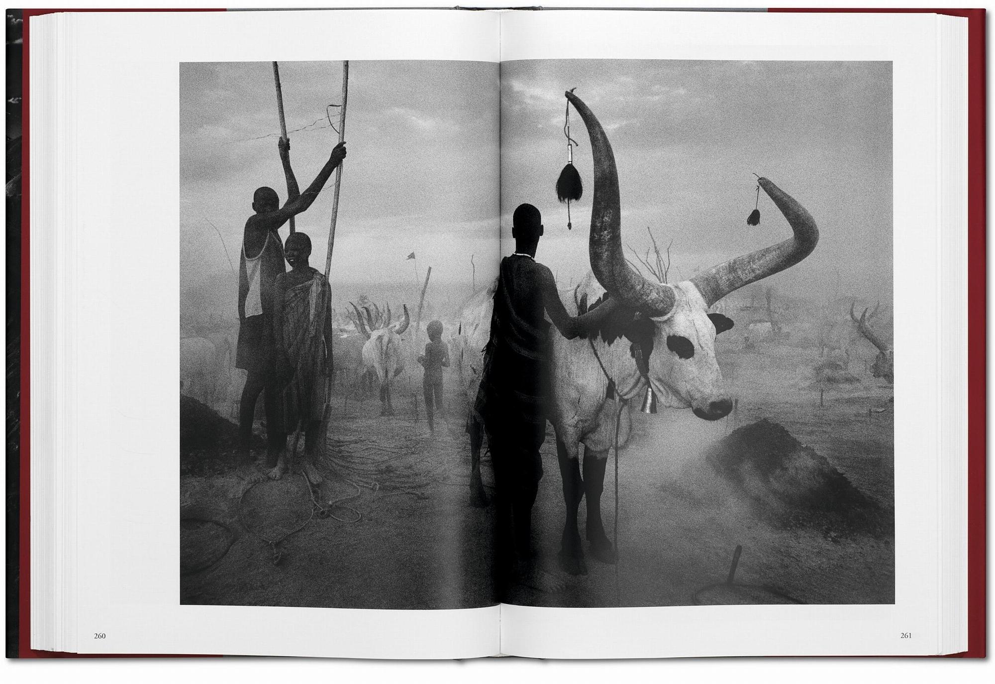 Sebastião Salgado. Genesis 7