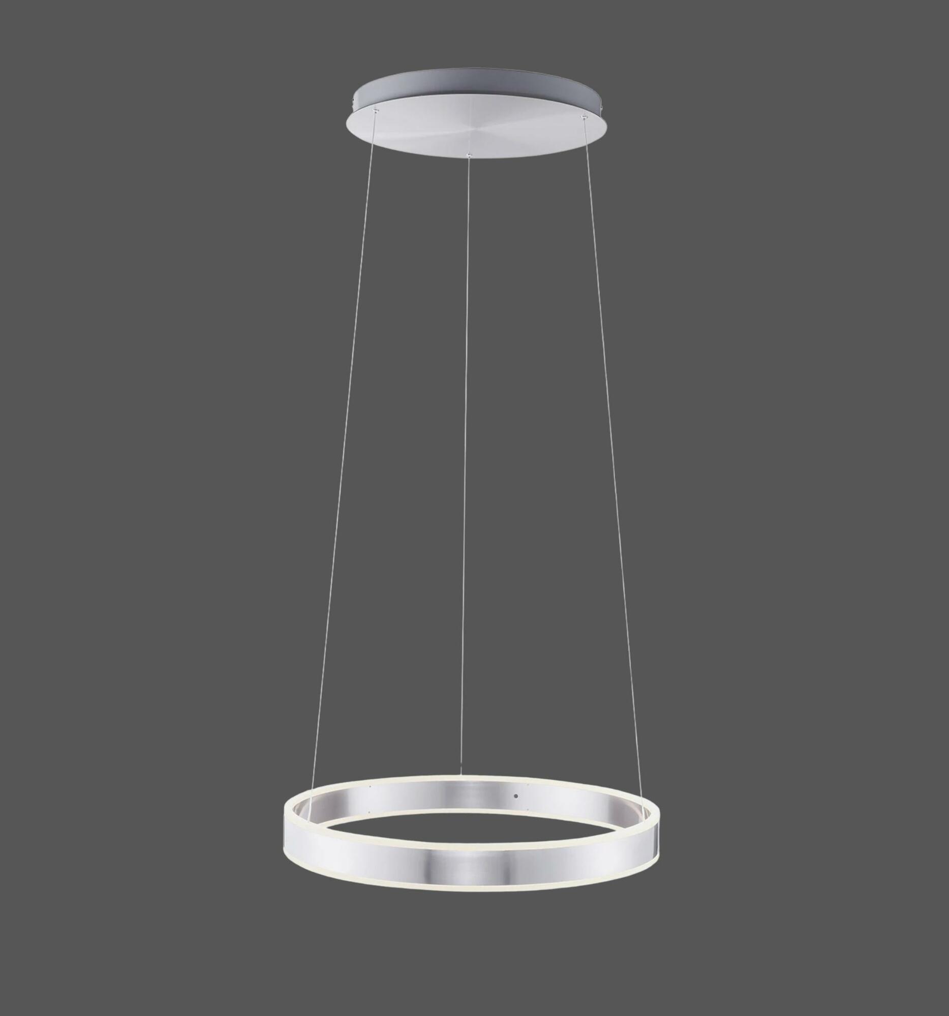 LED Pendelleuchte Circle Silber 0