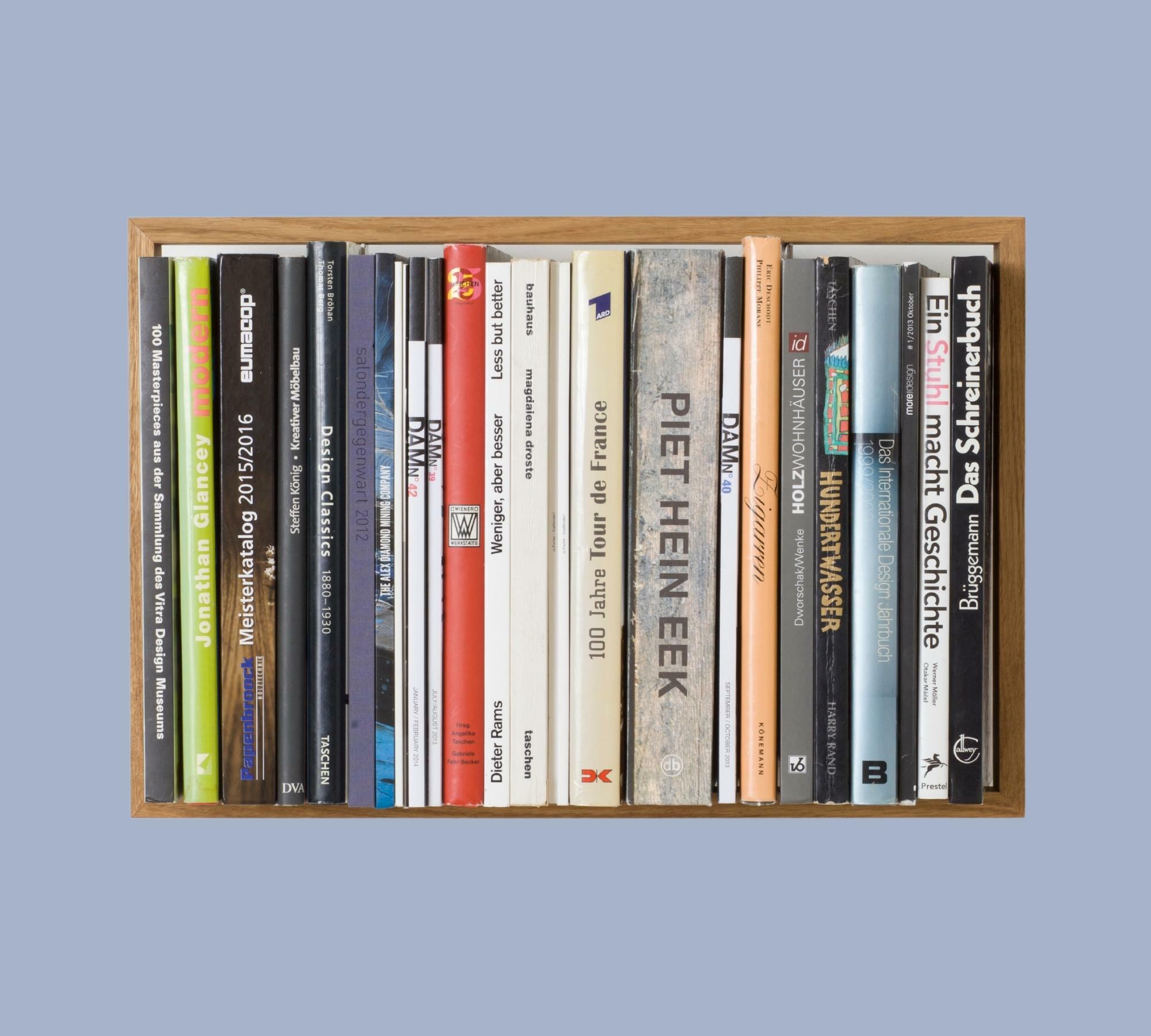 Bücherregal mit Eichenrahmen b8 Kratzspuren Oberfläche 2
