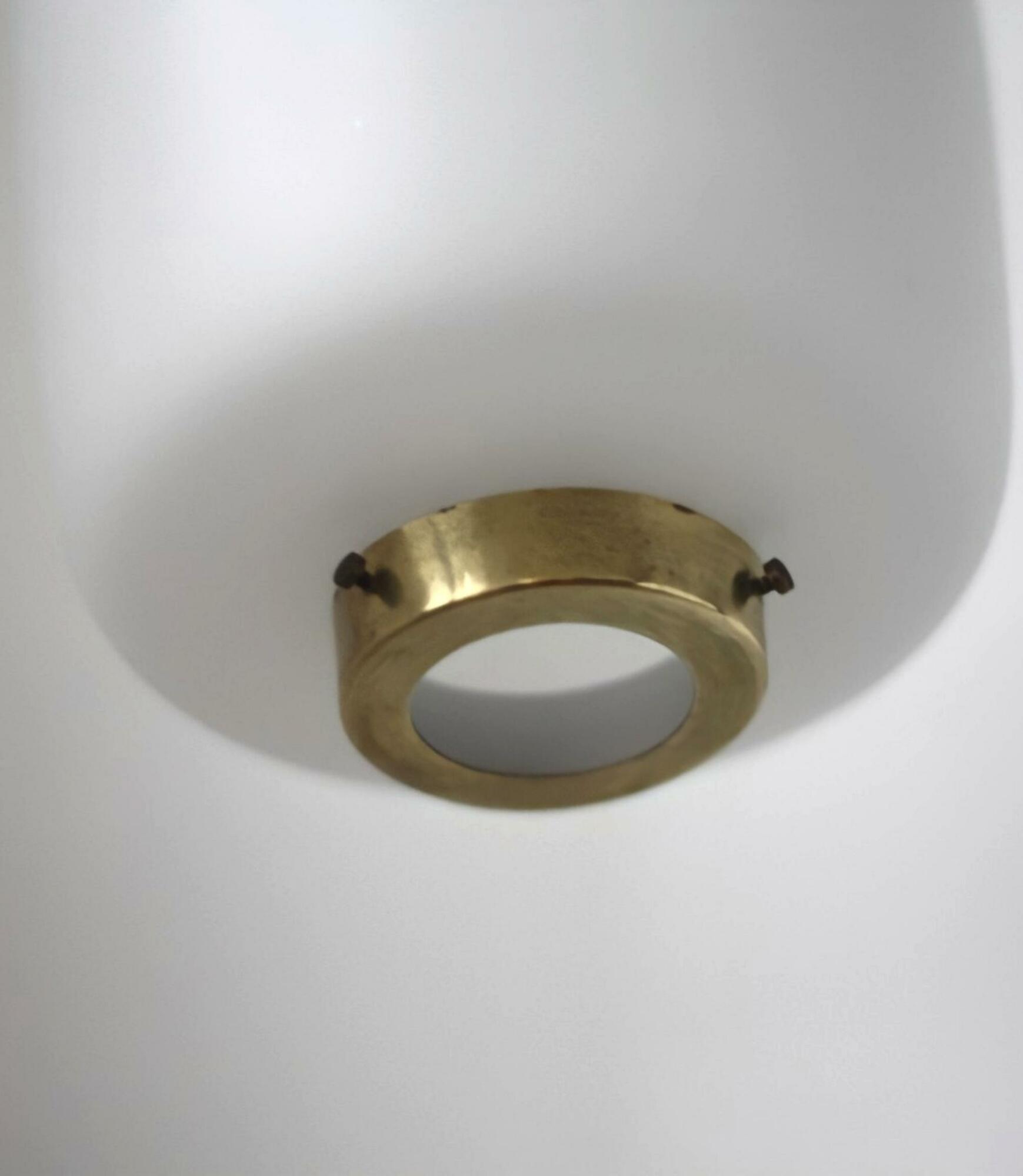 Danish Mid-Century pendant lamp by Bent Karlby 4