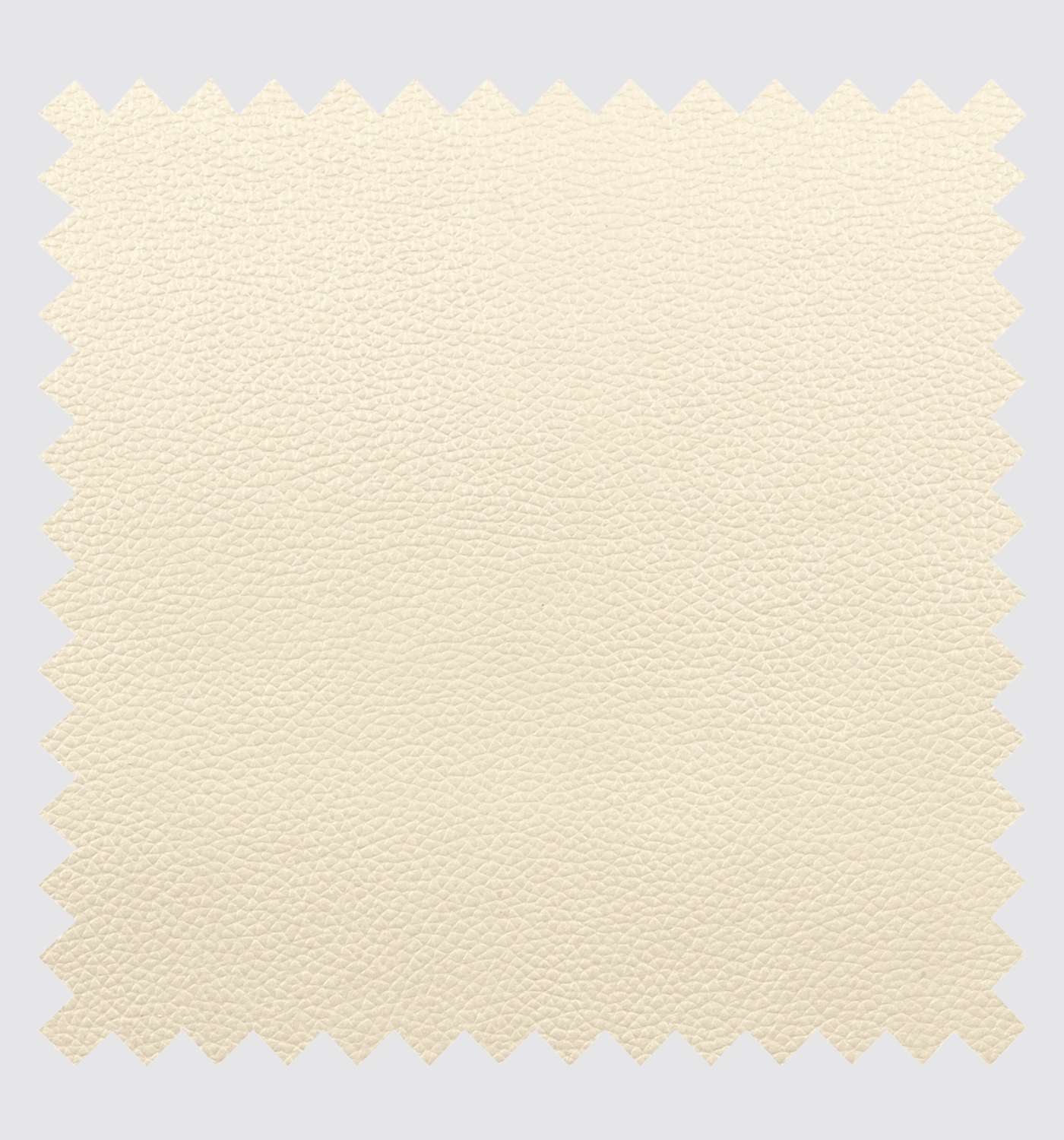 2x Echtleder-Freischwinger Creme 4