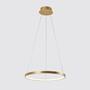 LED pendant light Double Circle Gold 1