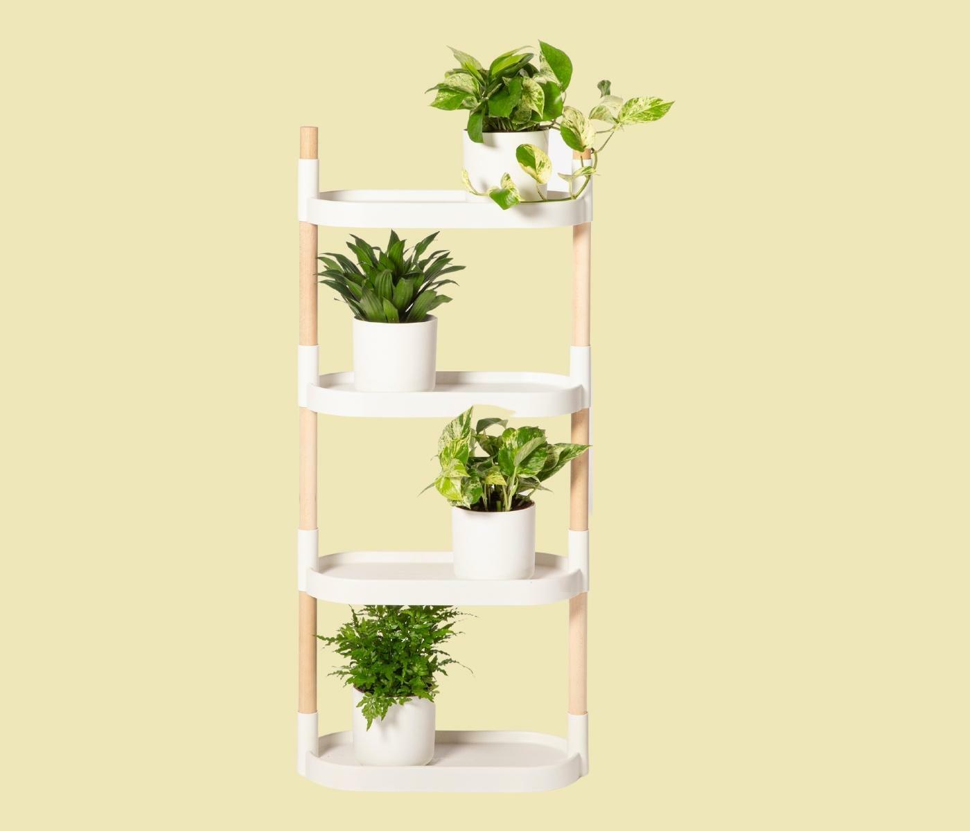 Modulares Blumengestell mit 4 Regalböden Weiß 1