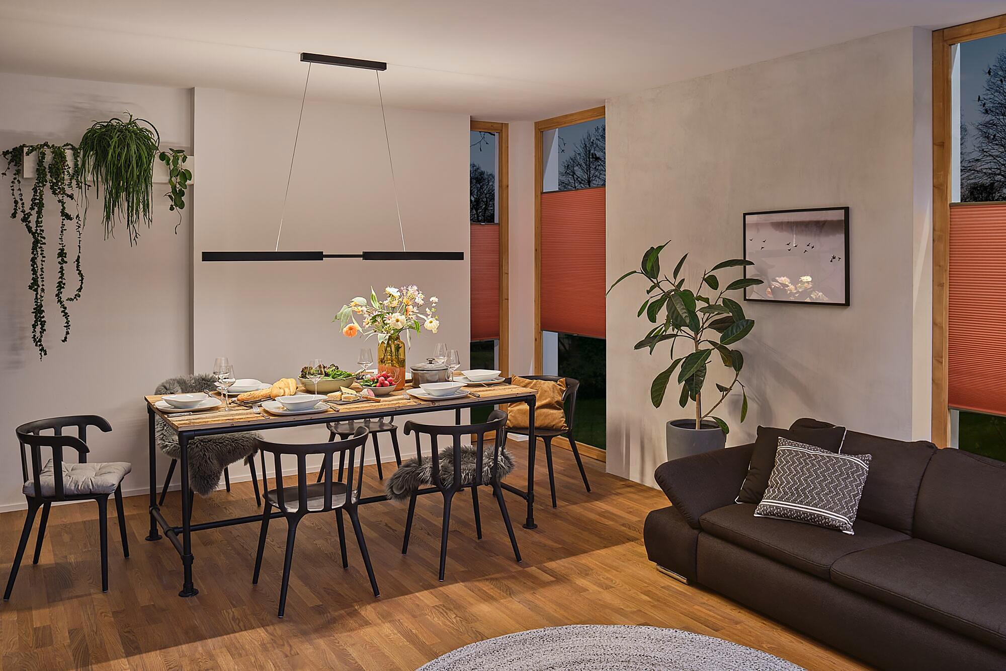 Aptare LED-Pendelleuchte Aluminium Schwarz 4