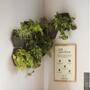 3x Wall planter Black with self-watering textile cover 4
