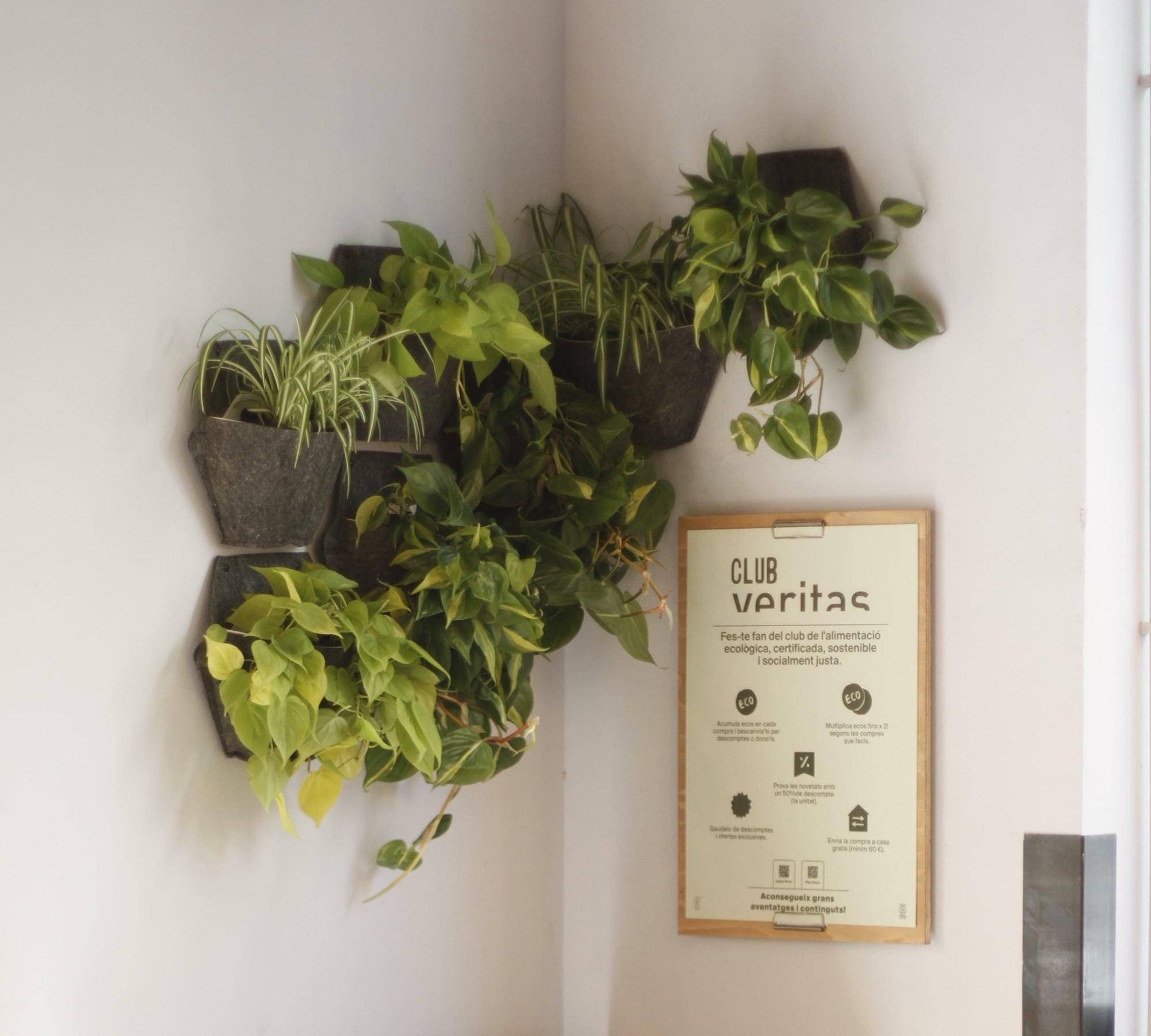 3x Wall planter Black with self-watering textile cover 4