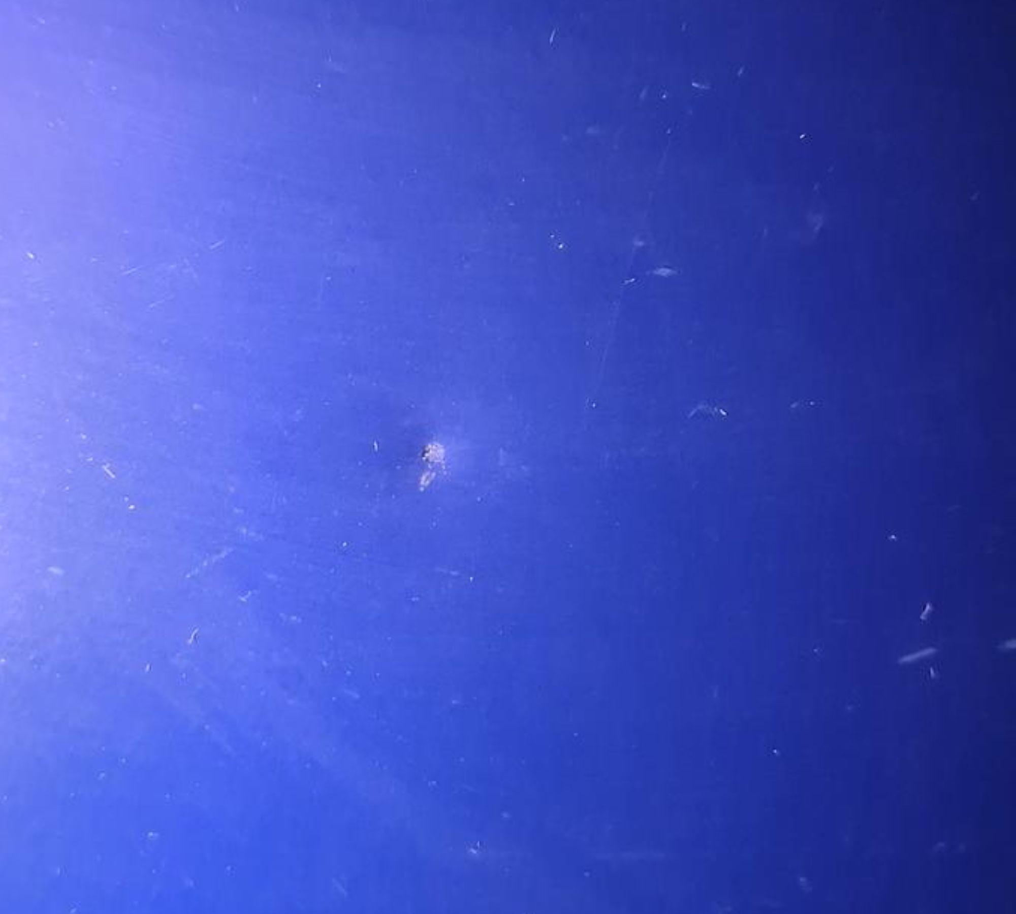 Ufo T9510/T204 Pendant Lamp Metal Blue 4