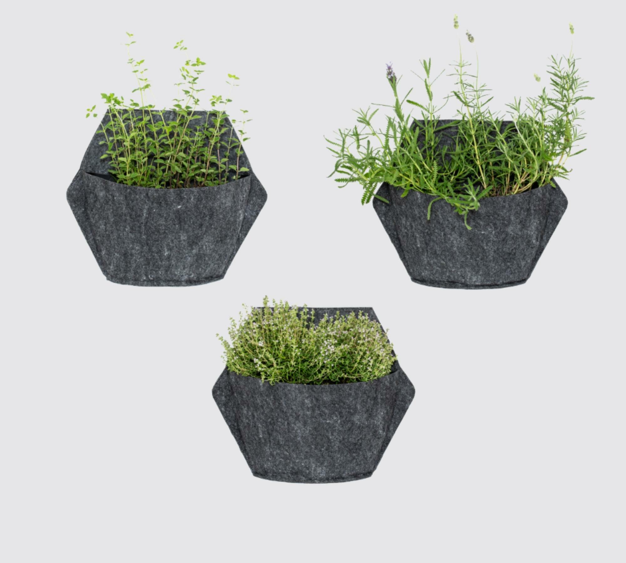 3x Wand-Blumentopf Schwarz mit Selbstbewässerung Textilbezug 1