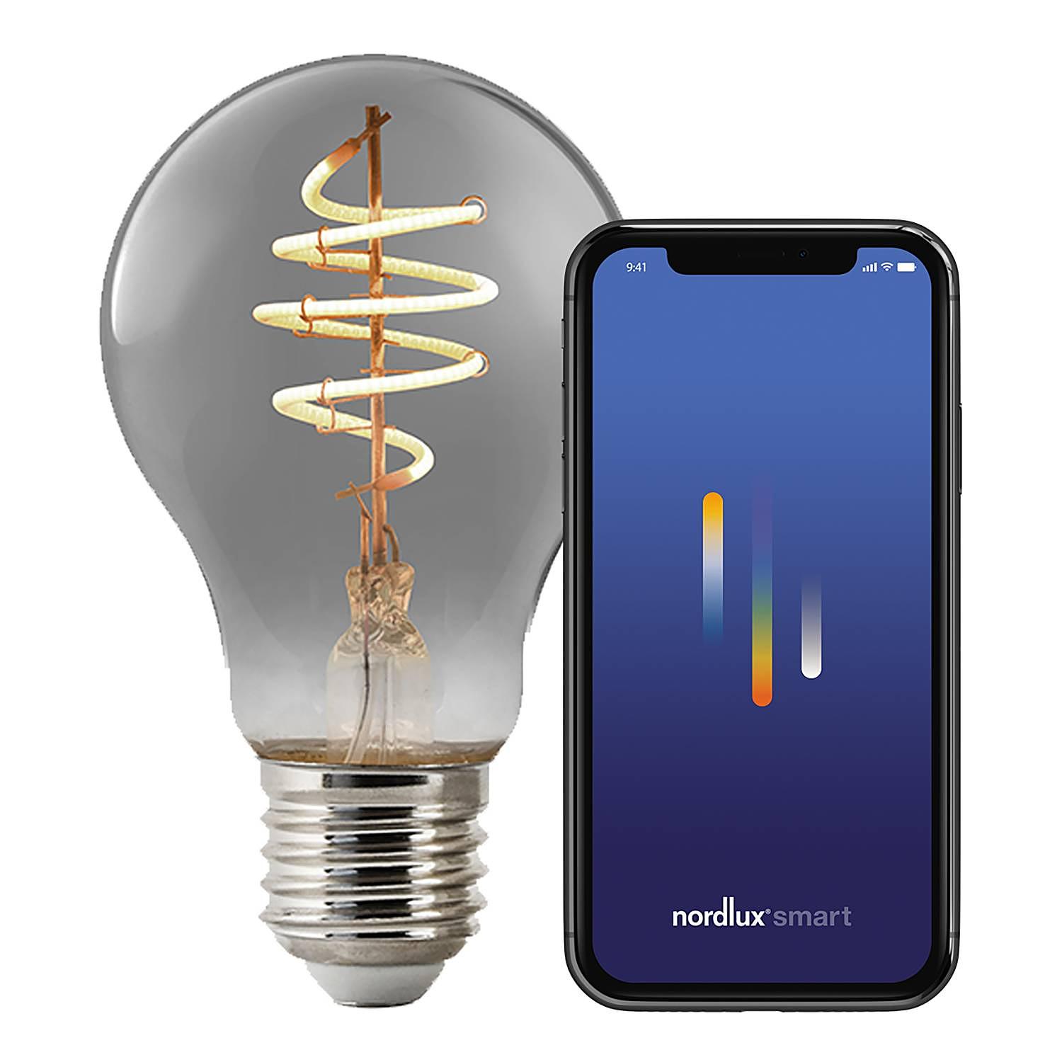 Smart E27 Leuchtmittel Rauchglas 6x11cm 1