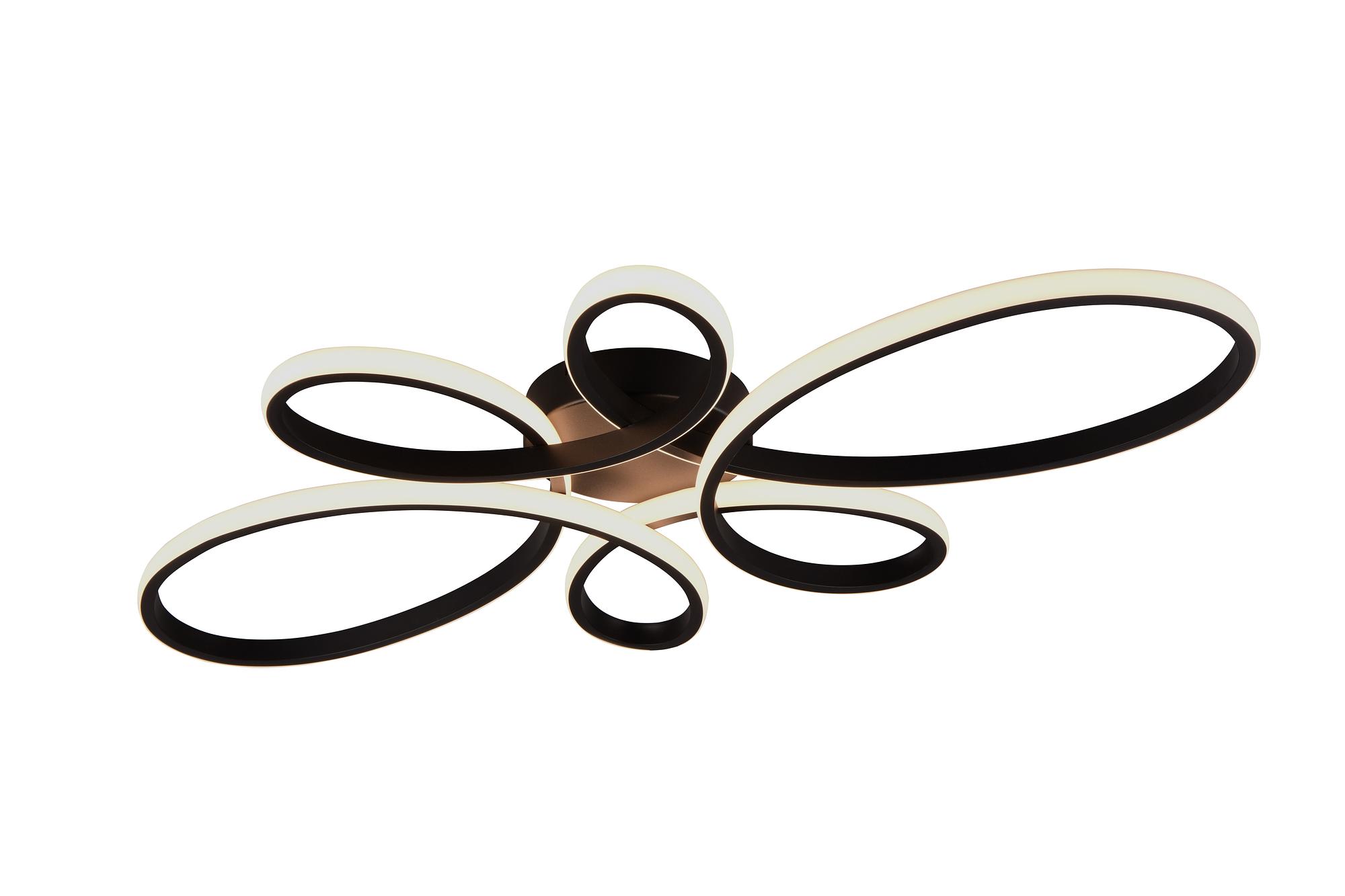 Deckenleuchte Fly Typ B Schwarz 1