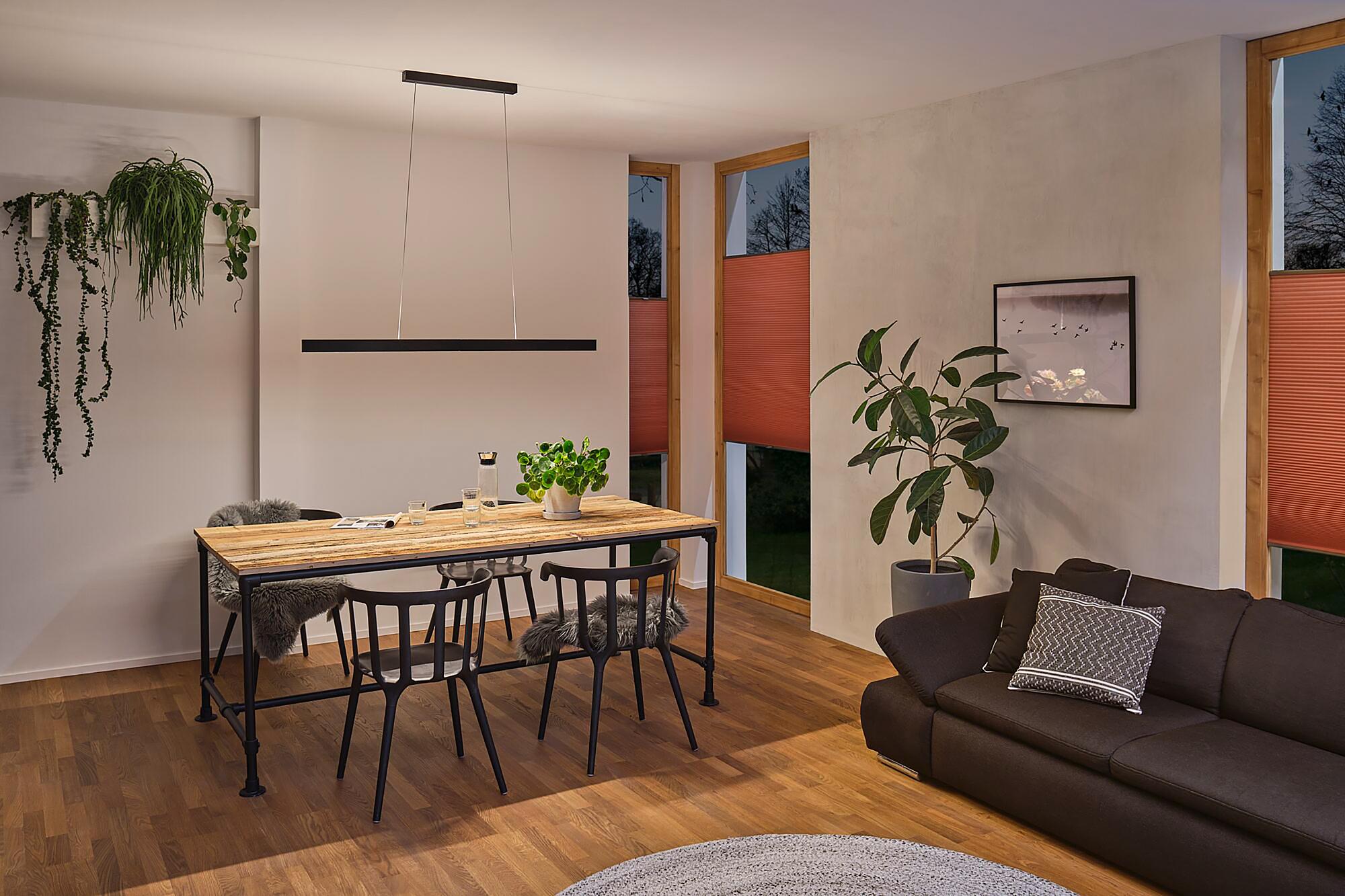 Aptare LED-Pendelleuchte Aluminium Schwarz 3